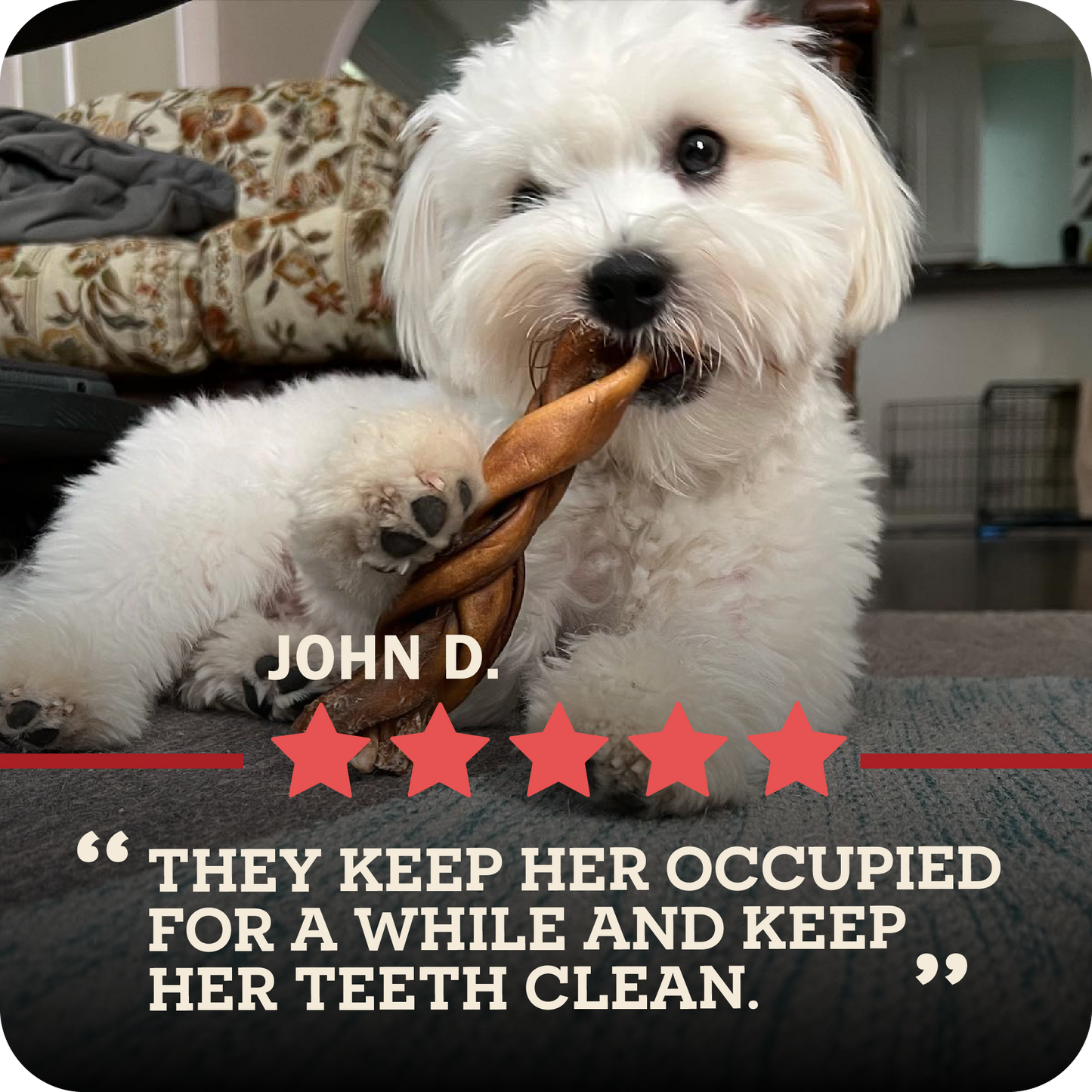 An image of a cute little dog chewing a Redbarn Collagen braid and a five star review from John D. that says, "They keep her occupied for a while and keep her teeth clean."
