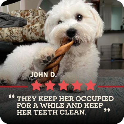 An image of a cute little dog chewing a Redbarn Collagen braid and a five star review from John D. that says, "They keep her occupied for a while and keep her teeth clean."