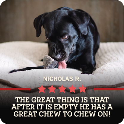 A black dog lying on a cream pet bed and licking a Redbarn Peanut Butter Filled Cow Hoof, with overlaid text reading 'NICHOLAS R.' and 'THE GREAT THING IS THAT AFTER IT IS EMPTY HE HAS A GREAT CHEW TO CHEW ON!' on a dark banner with red stars.