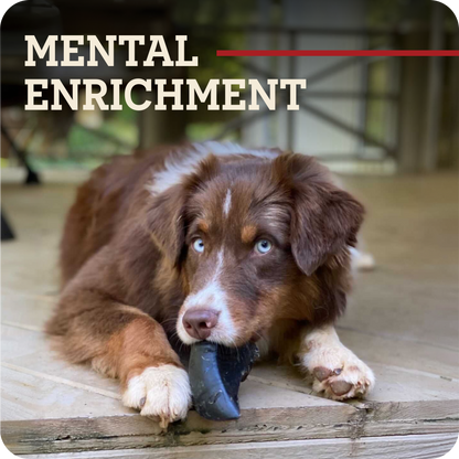 A brown and white dog lies on a wooden deck holding a Redbarn Peanut Butter Filled Cow Hoof, with the words 'MENTAL ENRICHMENT' in large beige text across the top and a thin red horizontal line above it.