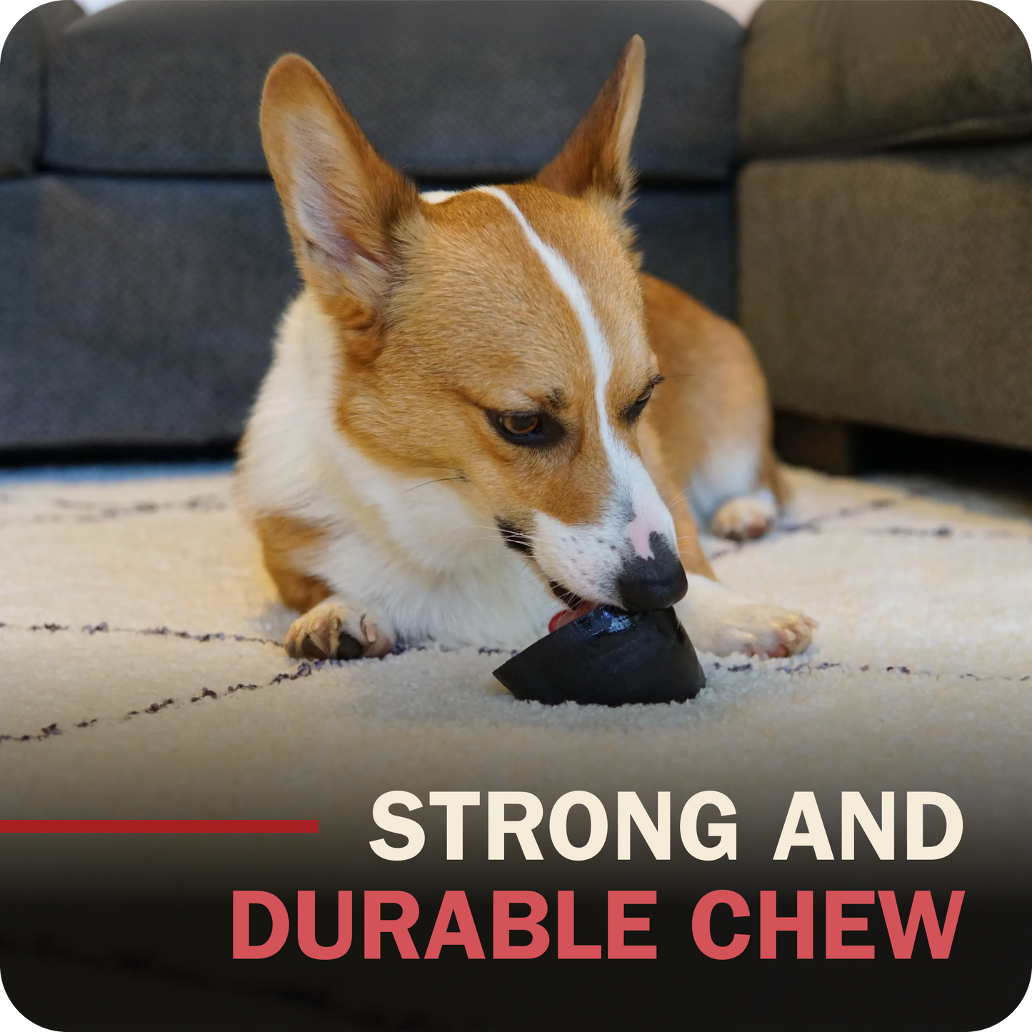 A corgi dog lies on a light rug in a living room setting, chewing a Redbarn Peanut Butter Filled Cow Hoof. Text at the bottom reads 'STRONG AND DURABLE CHEW'.