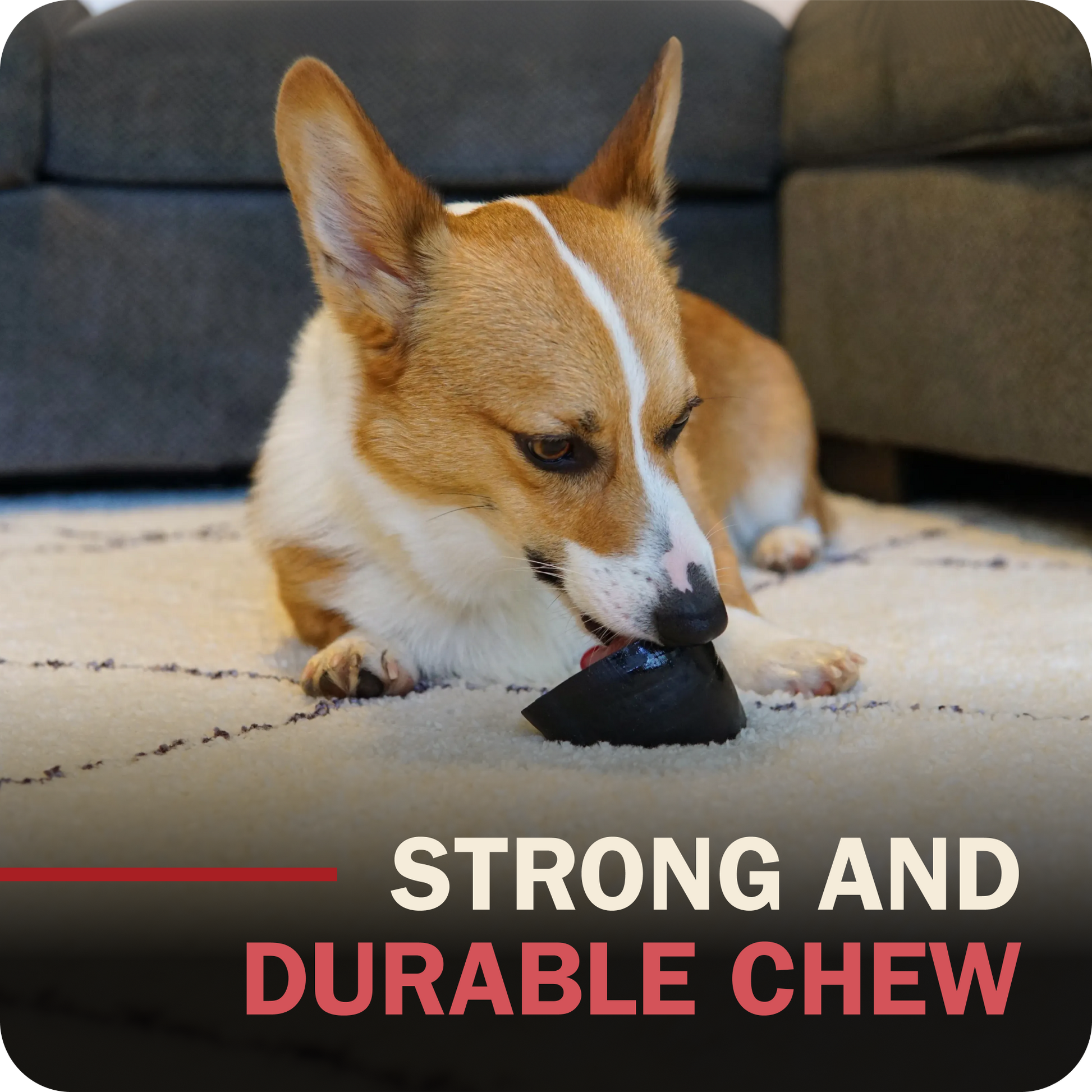 A corgi dog lies on a light rug in a living room setting, chewing a Redbarn Peanut Butter Filled Cow Hoof. Text at the bottom reads 'STRONG AND DURABLE CHEW'.