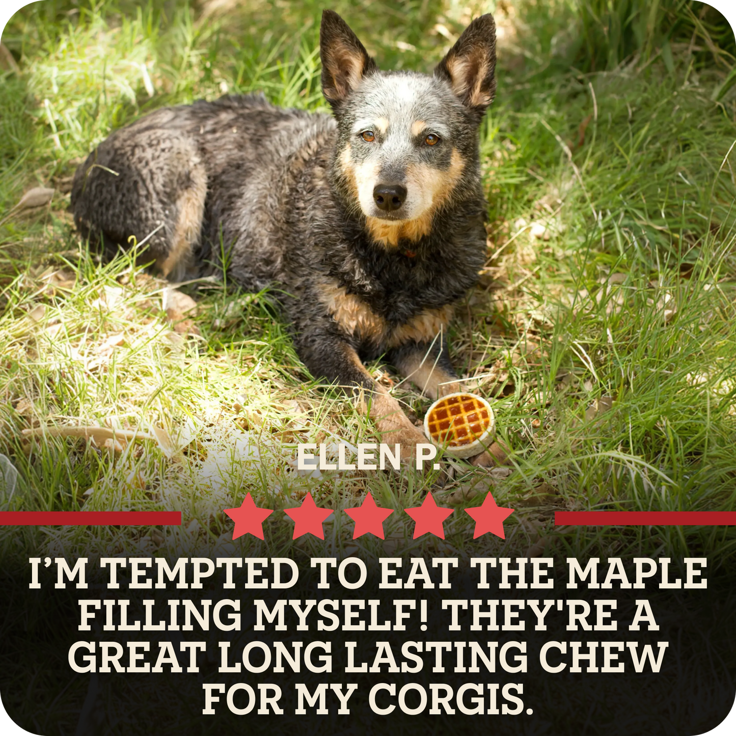 Roofle® Maple Flavor