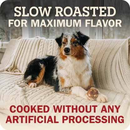 A dog lying on a cream cable-knit sofa with a Redbarn Knee cap in their paw with large text overlays reading 'SLOW ROASTED FOR MAXIMUM FLAVOR' at the top and 'COOKED WITHOUT ANY ARTIFICIAL PROCESSING' at the bottom