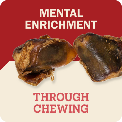 Two pieces of Redbarn Knee Caps chews against a graphic background with red and cream sections and the text 'MENTAL ENRICHMENT' at the top and 'THROUGH CHEWING' at the bottom.