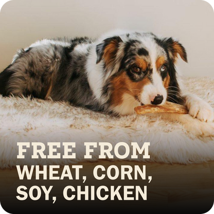 A dog lying on a fluffy cream rug holding a Redbarn Chew, with large text at the bottom reading 'FREE FROM WHEAT, CORN, SOY, CHICKEN'.