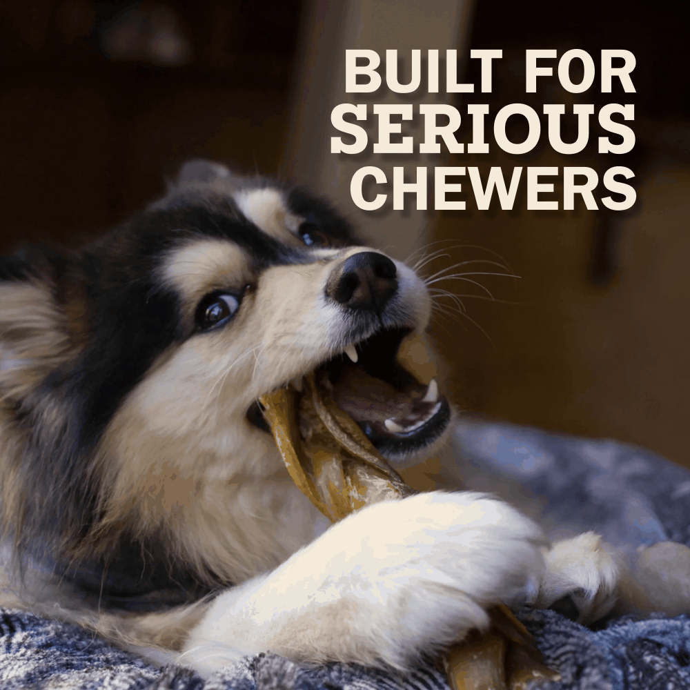 Built For Serious Chewers