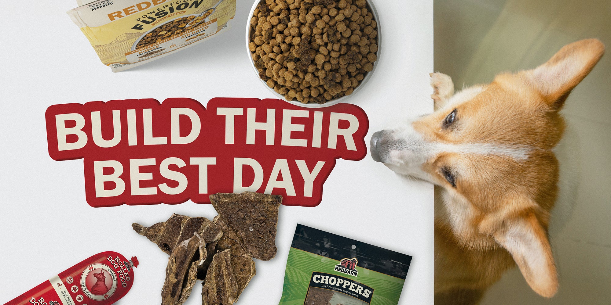 Dog staring at redbarn treats and chews on a table and text saying to build their best day