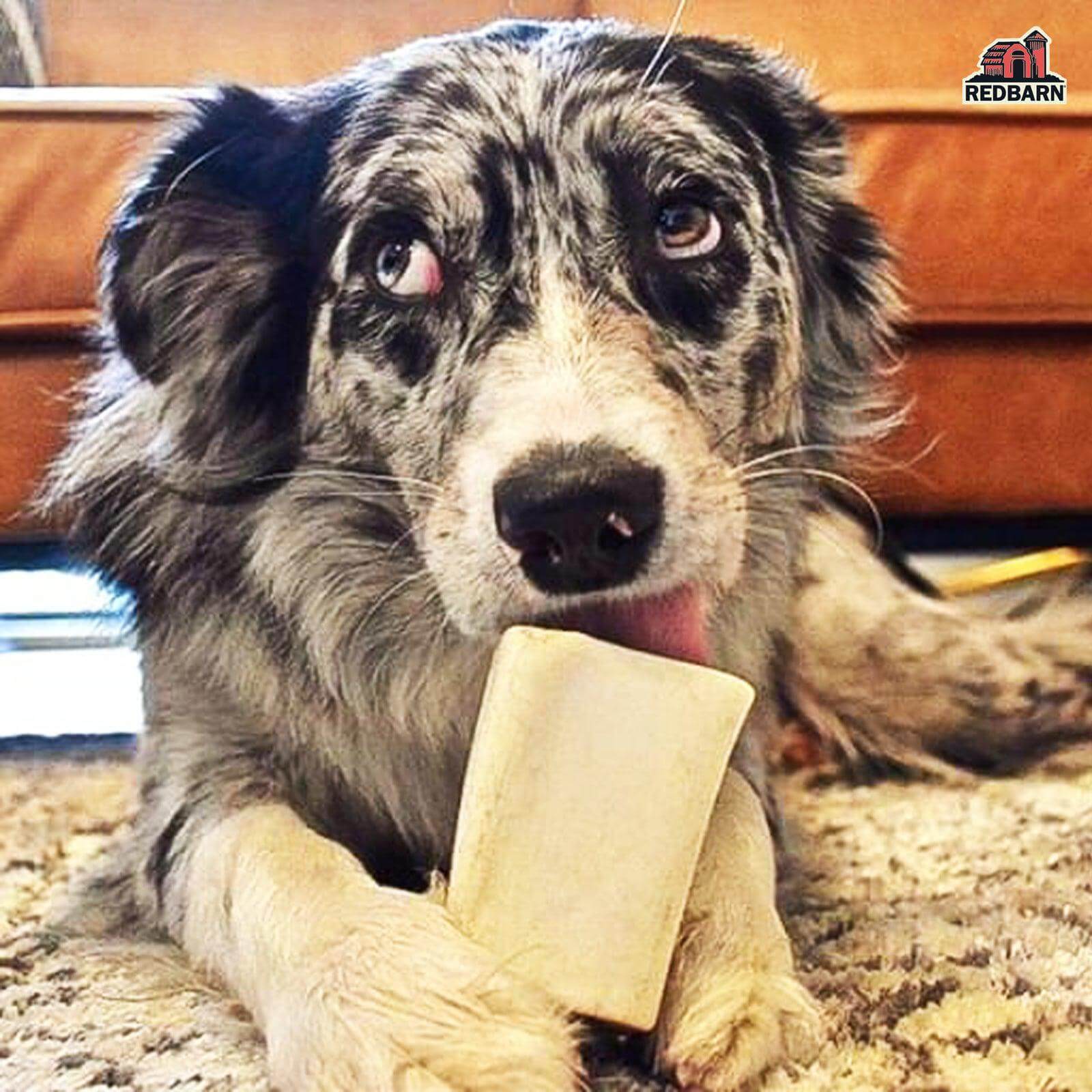 RBPP-714-2_Redbarn_EBC-416022-Large_Natural_Peanut_Butter_Filled_Bone-Image_5-120921