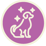 Skin and Coat Icon