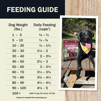 Air Dried Powerfood Digestive Health Beef & Lamb Recipe