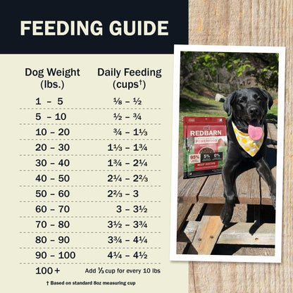 Air Dried Powerfood High Protein Beef Recipe