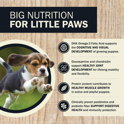 Big Nutrition For Little Paws