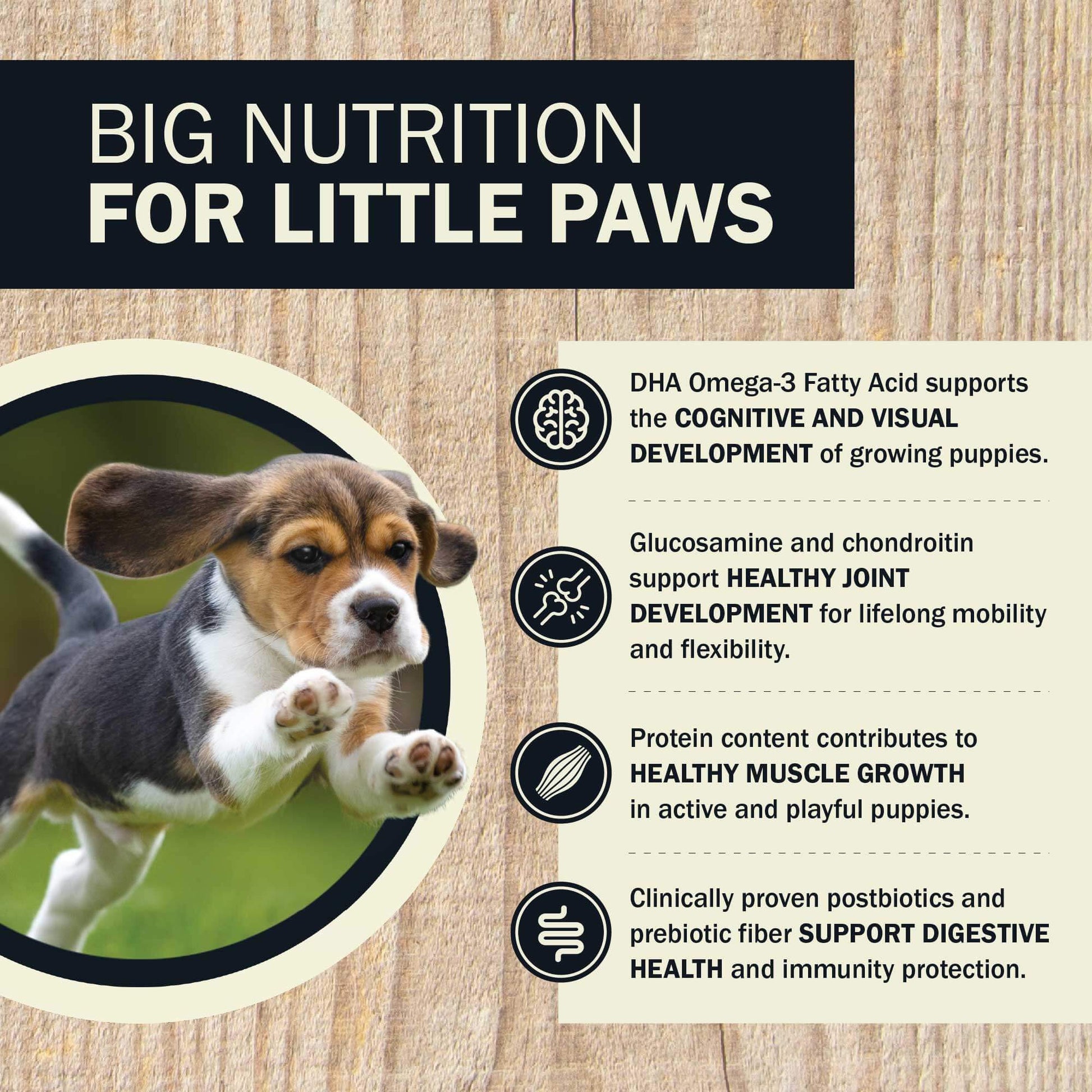 Big Nutrition For Little Paws  Cognitive And Visual Development   Healthy Joint Development   Healthy Muscle Growth  Support Digestive Health 