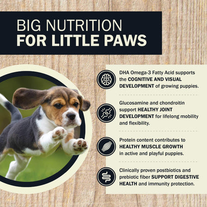 Big Nutrition For Little Paws  Cognitive And Visual Development   Healthy Joint Development   Healthy Muscle Growth  Support Digestive Health 
