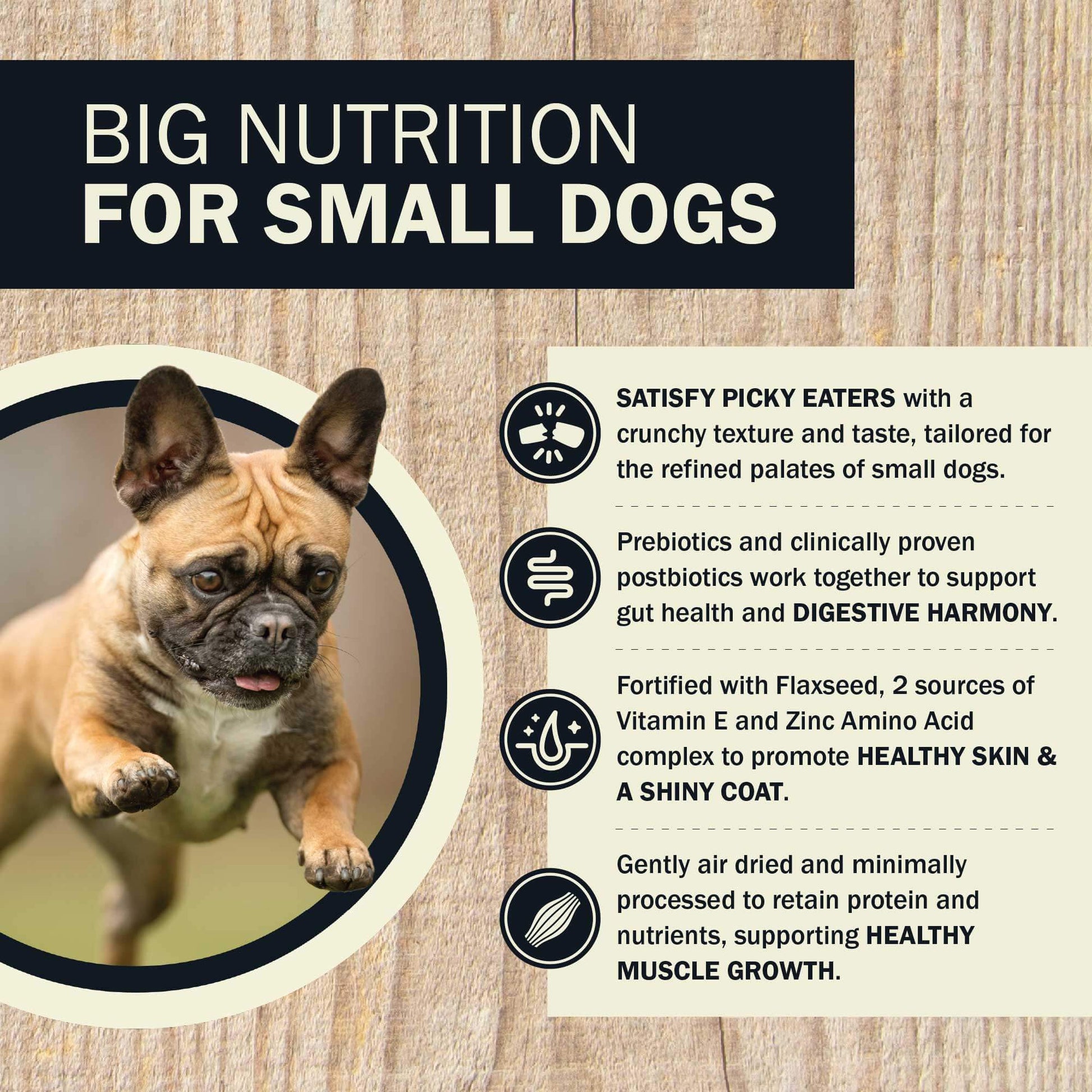 Big Nutrition For Small Dogs