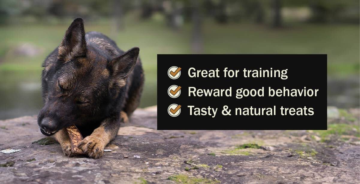 German dog treats online