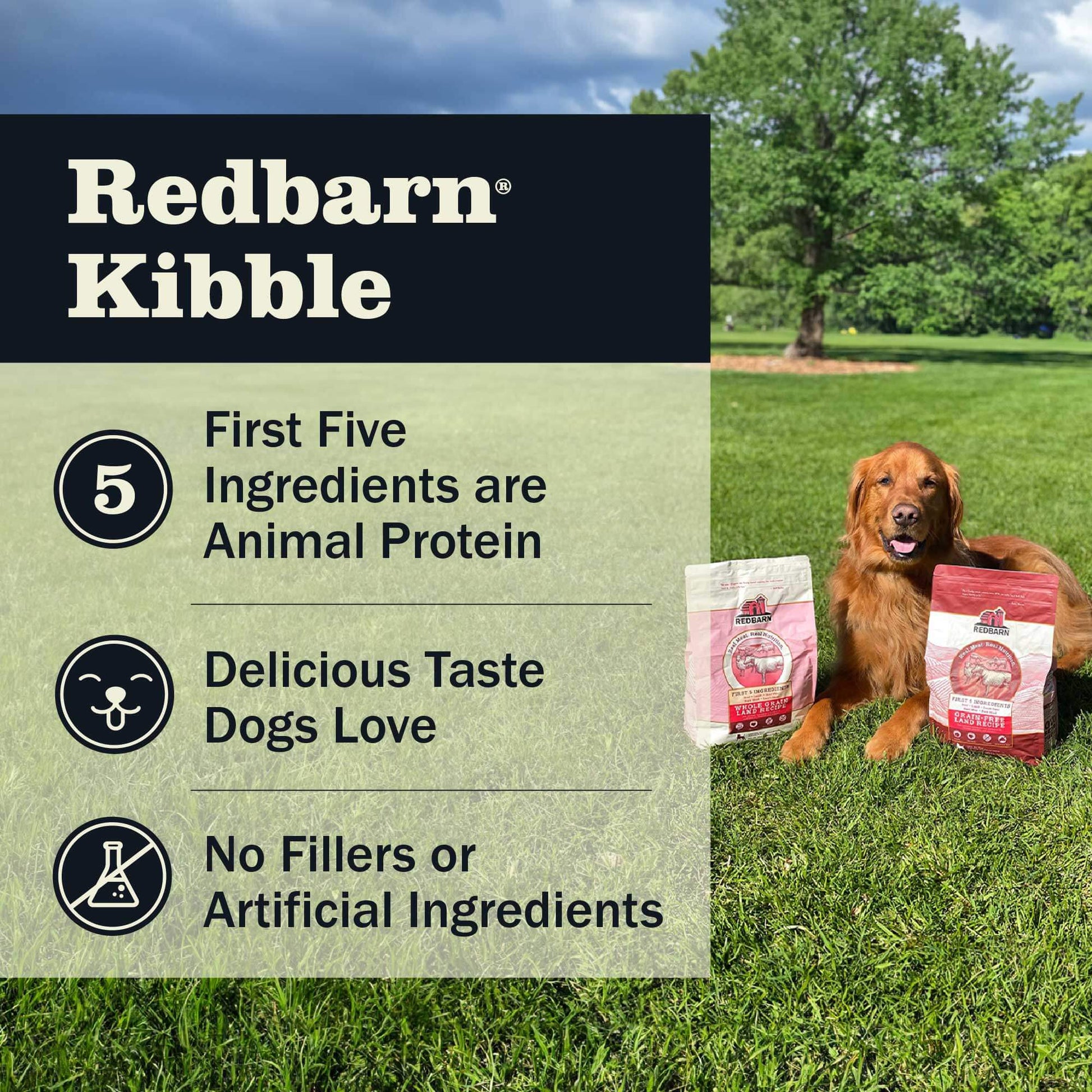 Redbarn kibble having Animal protein as its first five ingredients, delicious taste that dogs love and no artificial fillers or artificial ingredients