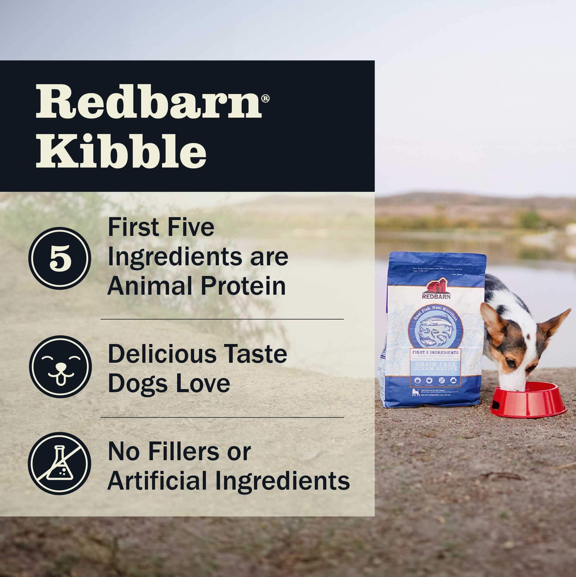 Redbarn kibble having Animal protein as its first five ingredients, delicious taste that dogs love and no artificial fillers or artificial ingredients