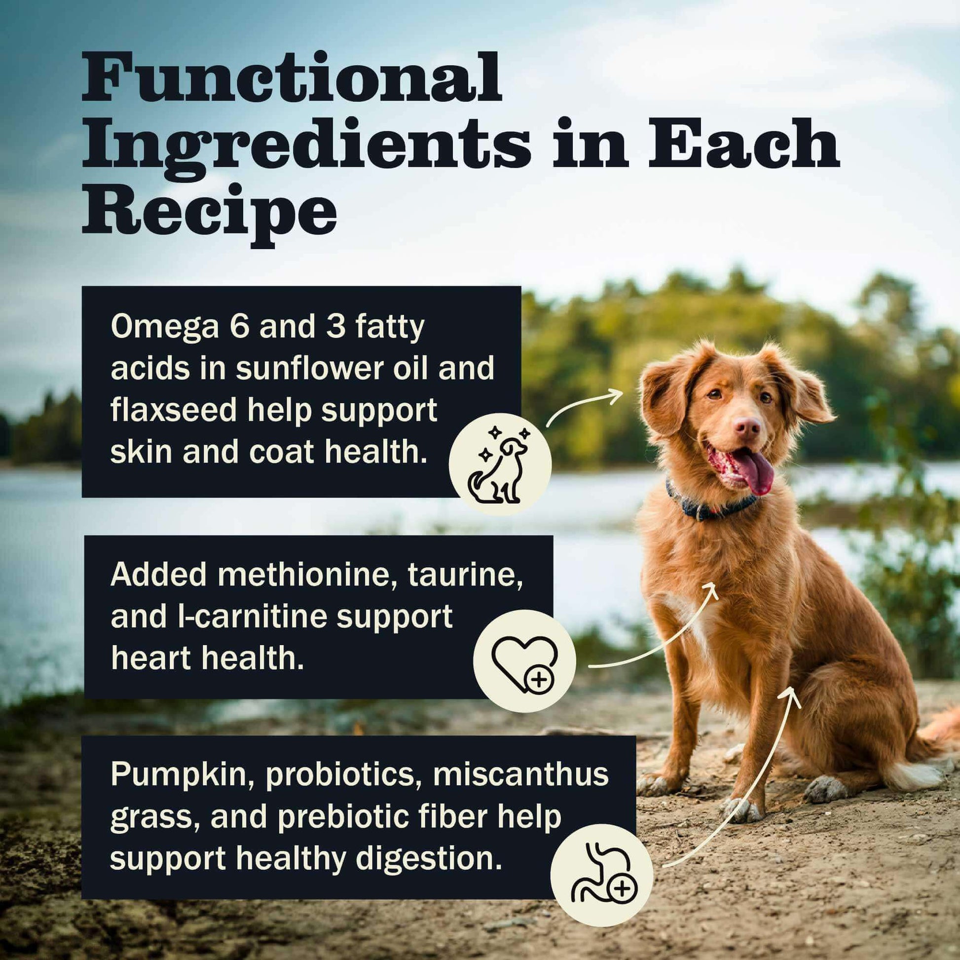 Functional Ingredients in Each Recipe that support skin and coat, heart health, and healthy digestion 