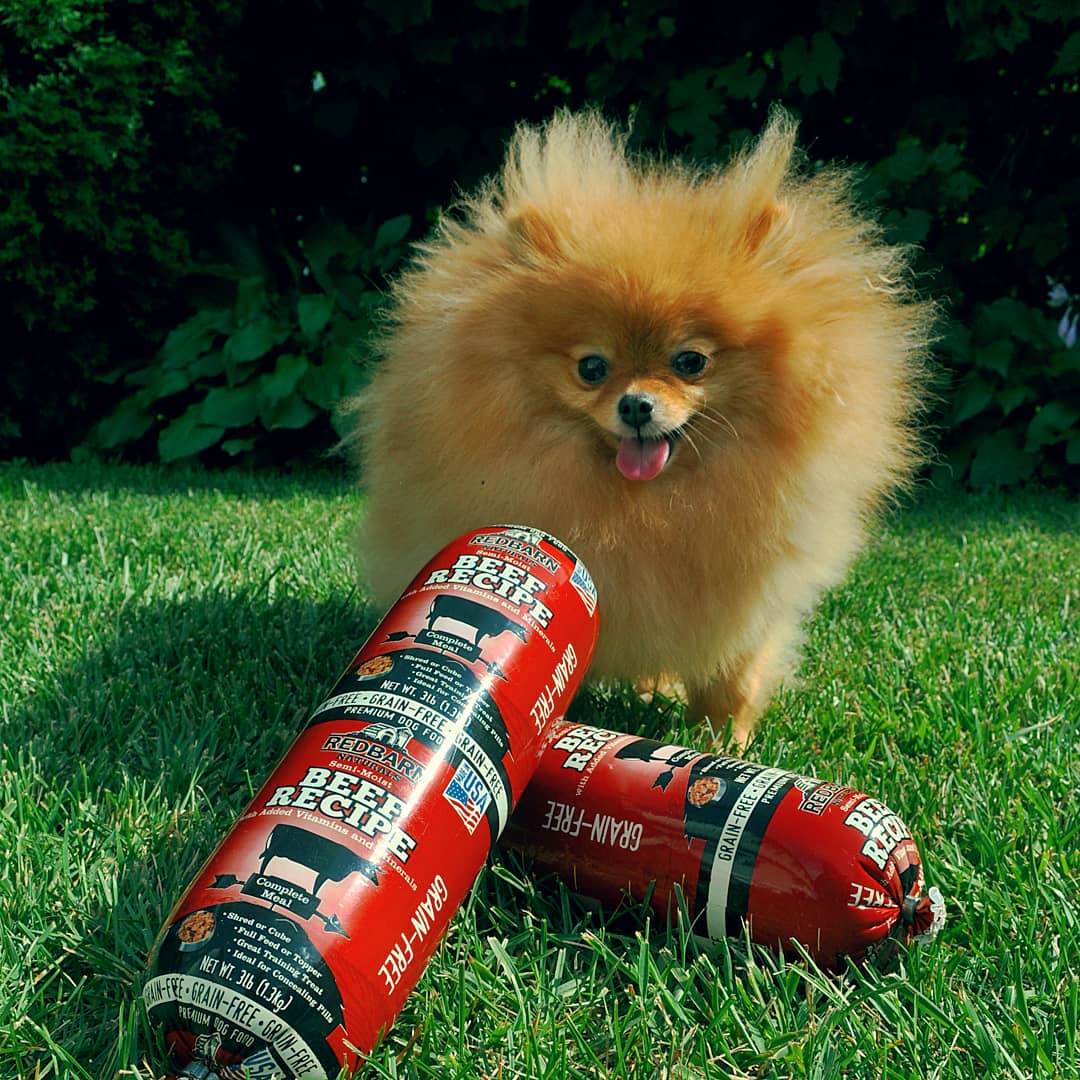 Redbarn_Rolled_Food_Chicken_Dog