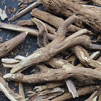 Root