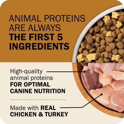Powerfood Fusion Grain-Free Sky Mix Recipe