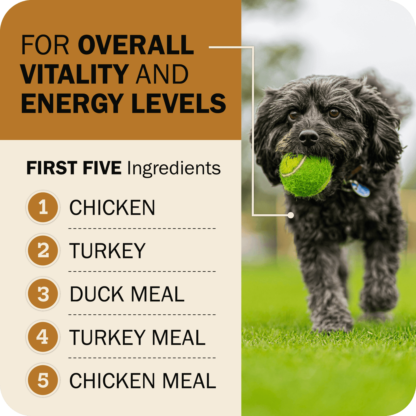 Powerfood Fusion Grain-Free Sky Mix Recipe