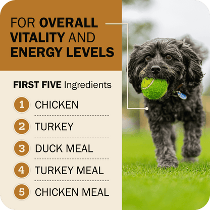 Powerfood Fusion Grain-Free Sky Mix Recipe