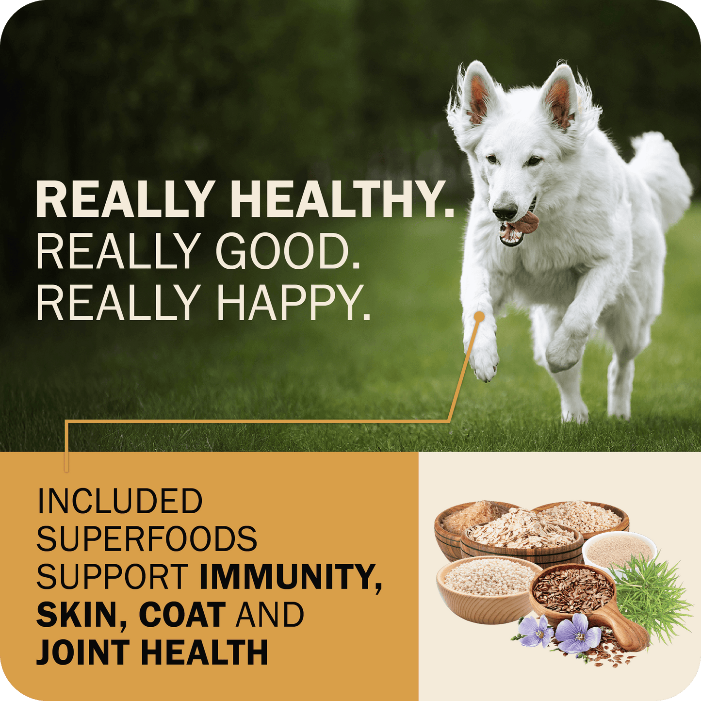 Powerfood Fusion Whole Grain Sky Mix Recipe