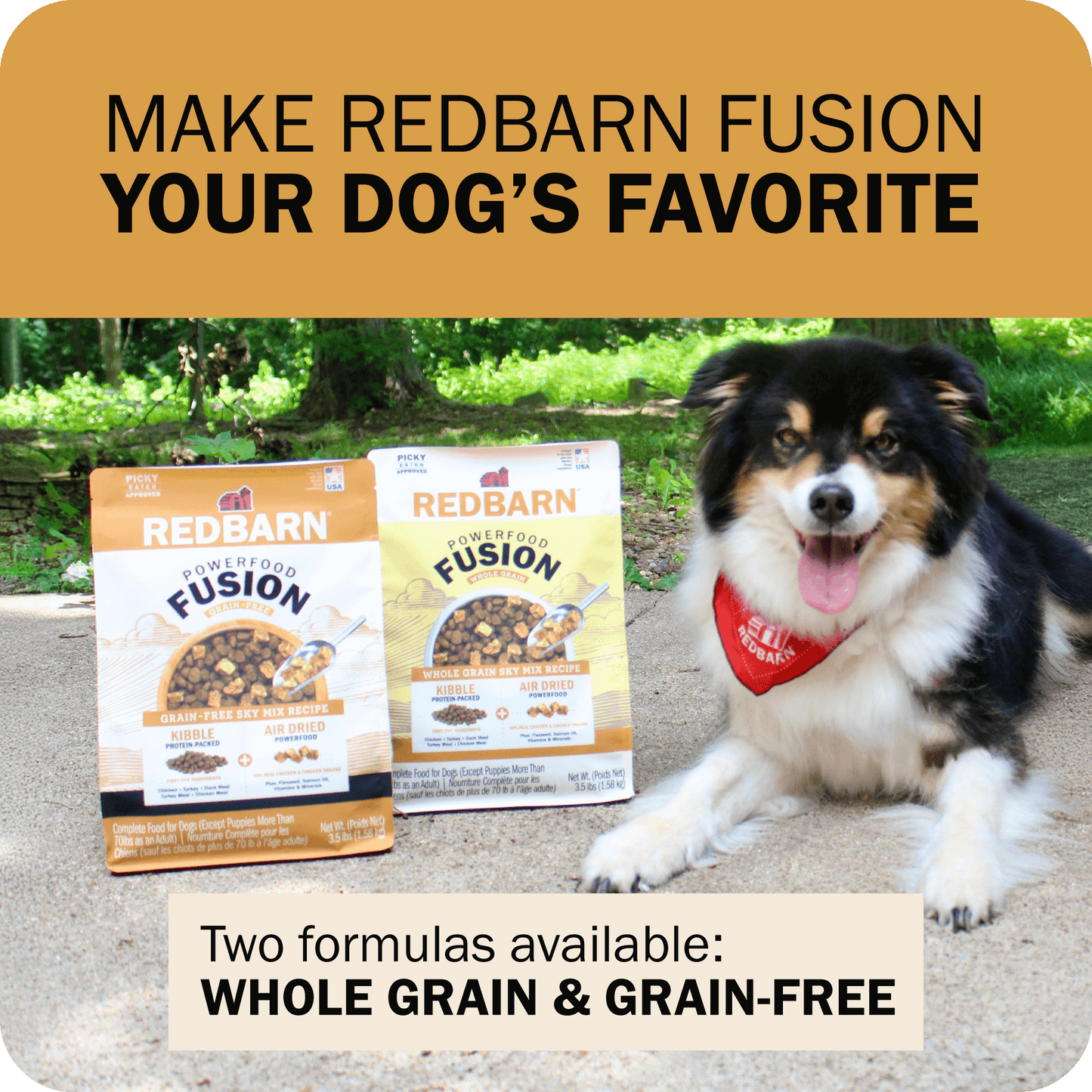 Powerfood Fusion Whole Grain Sky Mix Recipe