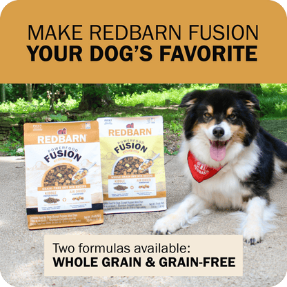 Powerfood Fusion Whole Grain Sky Mix Recipe
