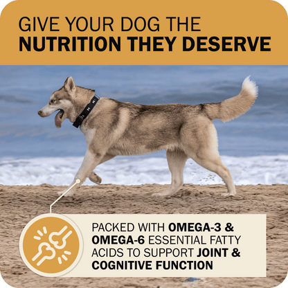 Powerfood Fusion Whole Grain Sky Mix Recipe