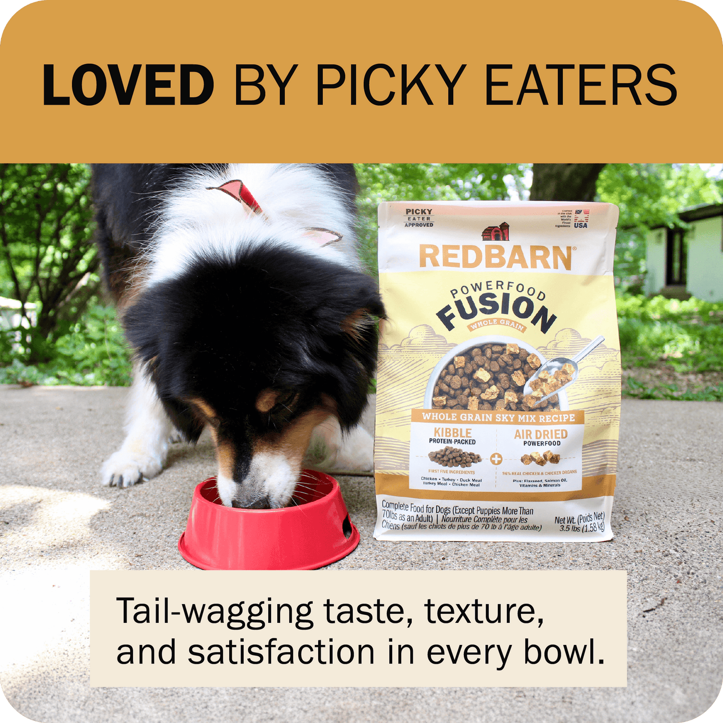 Powerfood Fusion Whole Grain Sky Mix Recipe