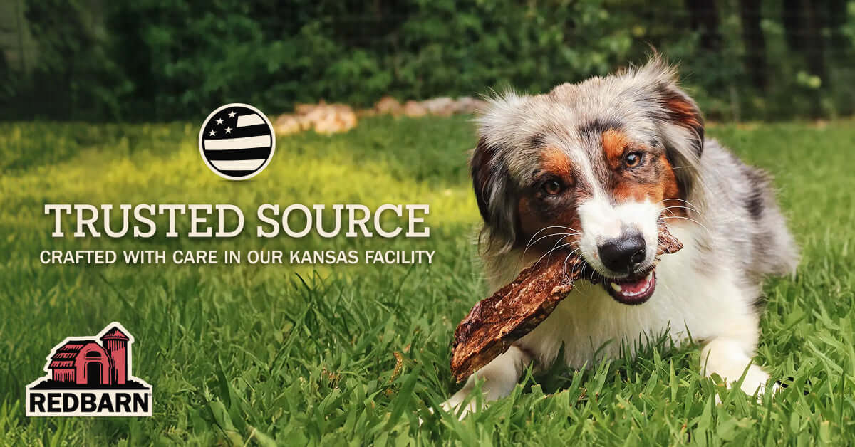 Dog chewing on a Redbarn treat in the grass with 'Trusted Source' branding and Redbarn logo.