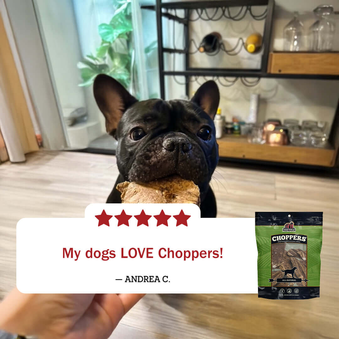 Dog holding a Redbarn Choppers treat with a five-star rating card and Redbarn packaging in the background
