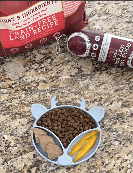 A pet feeding setup on a granite countertop, featuring a Rebdarn Grain Free Land and the Rolled Dog Food Recipe