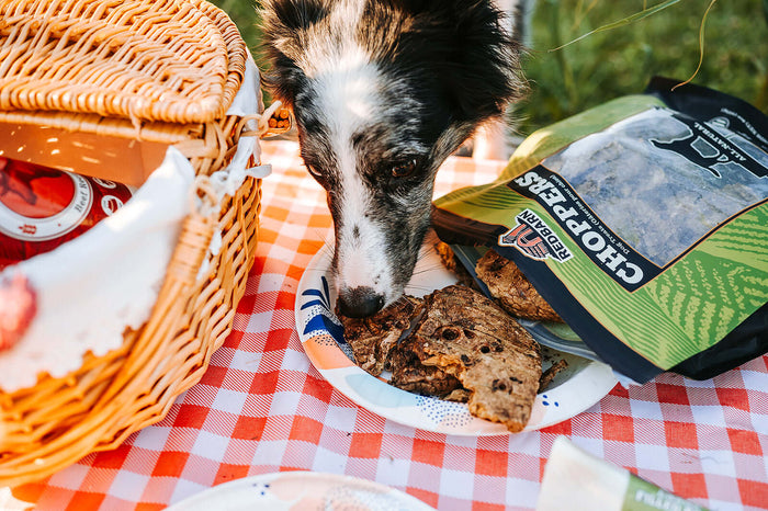 Dog taking a bite of a Redbarn Chopper from a plate of Choppers on a picnic blanket with the Choppers bag and basket in the background. Best Single-Ingredient Treats. All-Natural