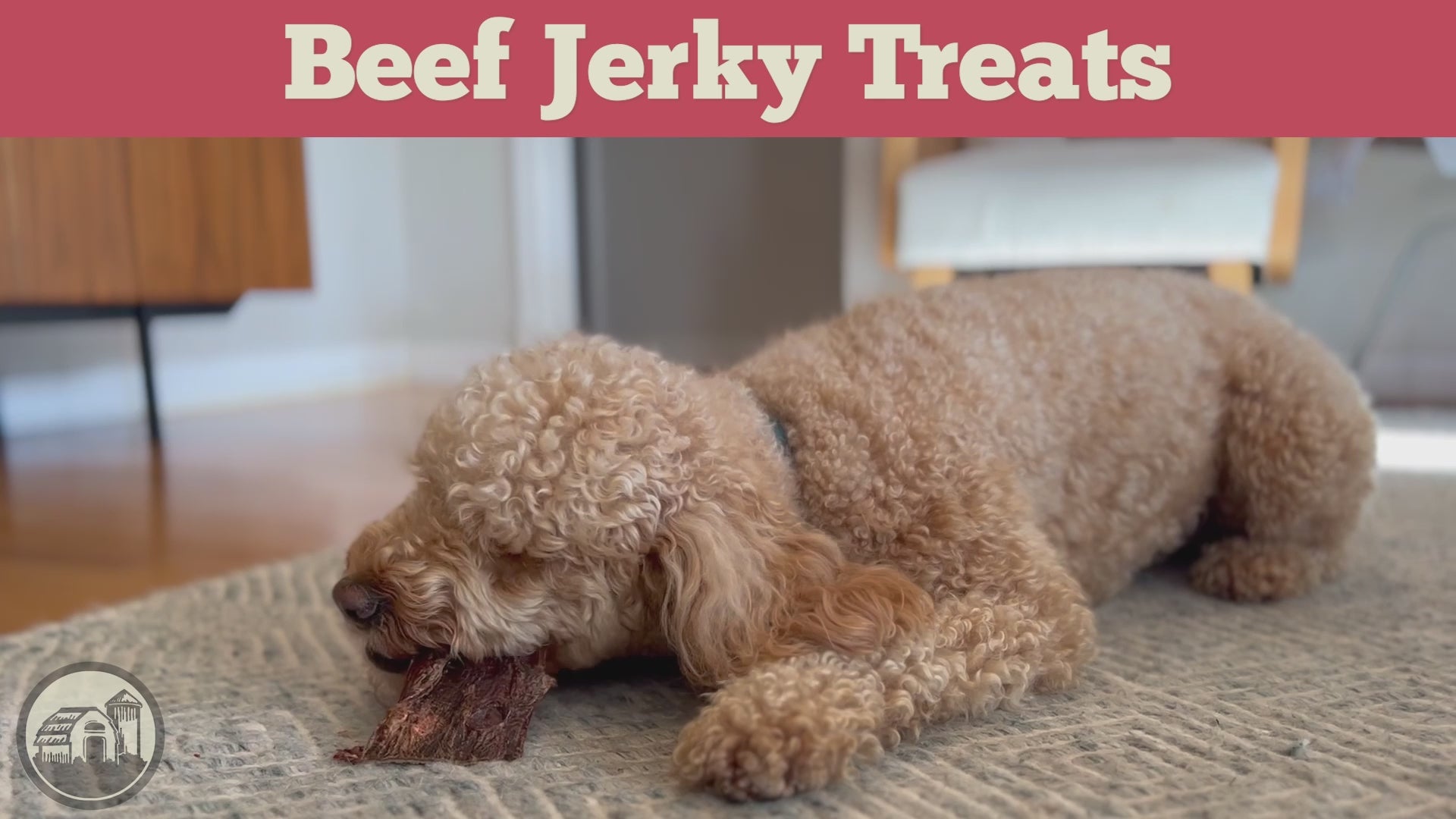 Video commercial featuring the Redbarn Beef Jerky