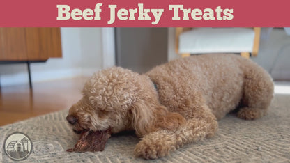 Video commercial featuring the Redbarn Beef Jerky