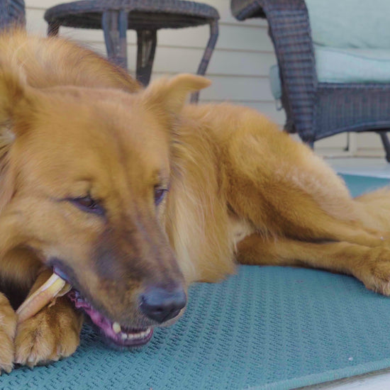 Video commercial featuring Redbarn Bully Stick Chews