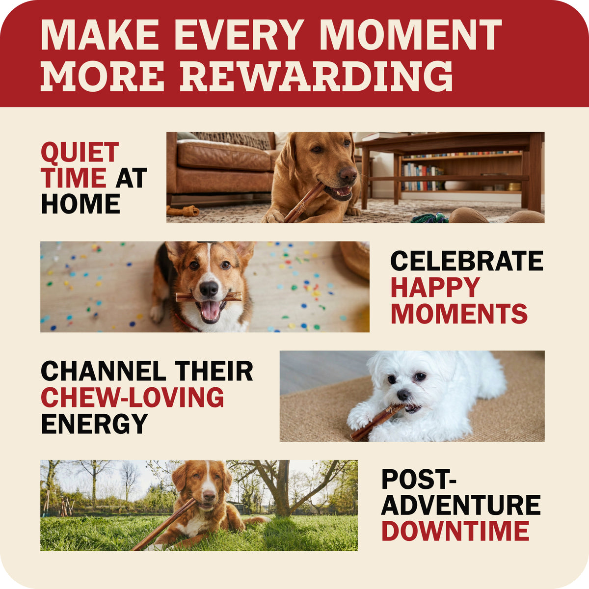 Dogs enjoying Redbarn bully chews during quiet time and everyday
activities