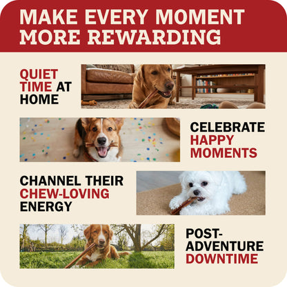 Dogs enjoying Redbarn bully chews during quiet time and everyday
activities
