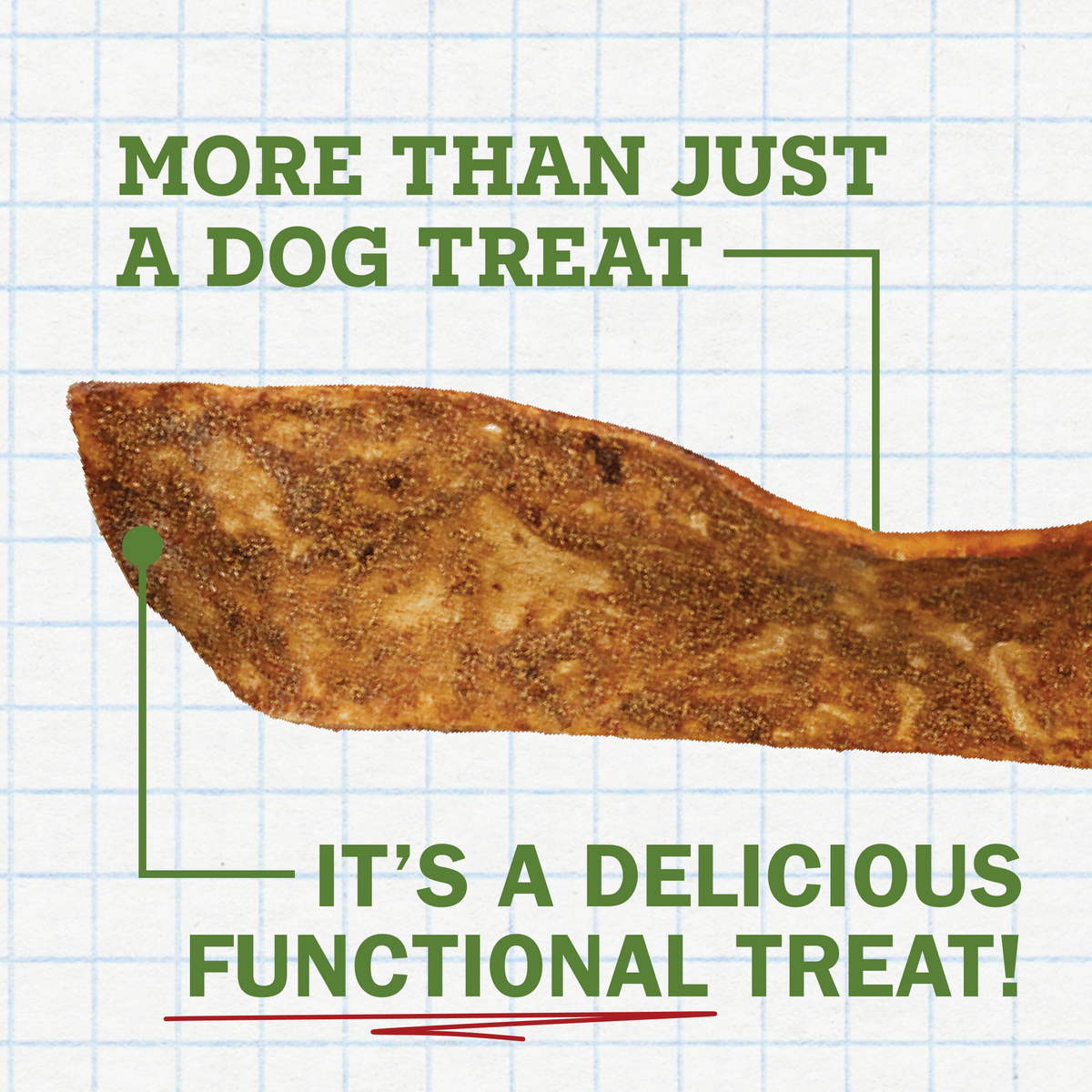 Activeguard® Bully Slims Immune Support Dog Treats
