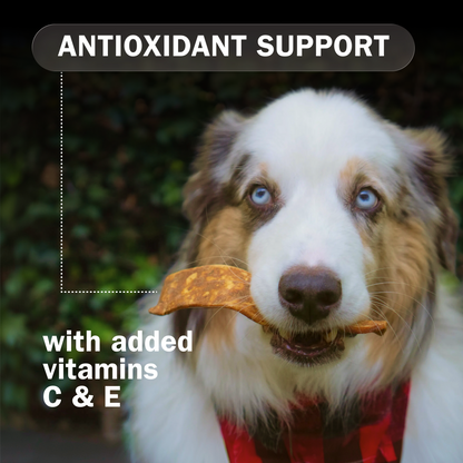 Activeguard® Bully Slims Immune Support Dog Treats