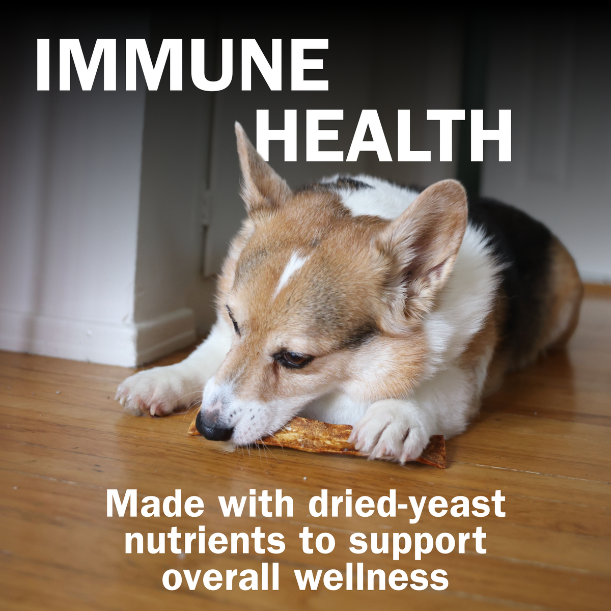 Activeguard® Bully Slims Immune Support Dog Treats