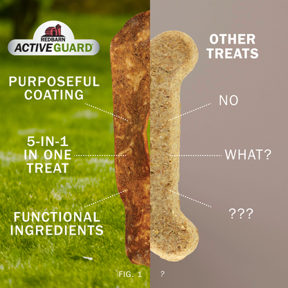 A promotional graphic comparing a coated dog treat and an uncoated dog treat. The left half shows a green grass background with the RedBarn ActiveGuard logo and text reading 'Purposeful Coating,' '5-in-One in One Treat,' and 'Functional Ingredients,' with a brown coated bone-shaped treat in the center.