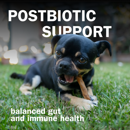 Activeguard® Collagen Slims Immune Support Dog Treats