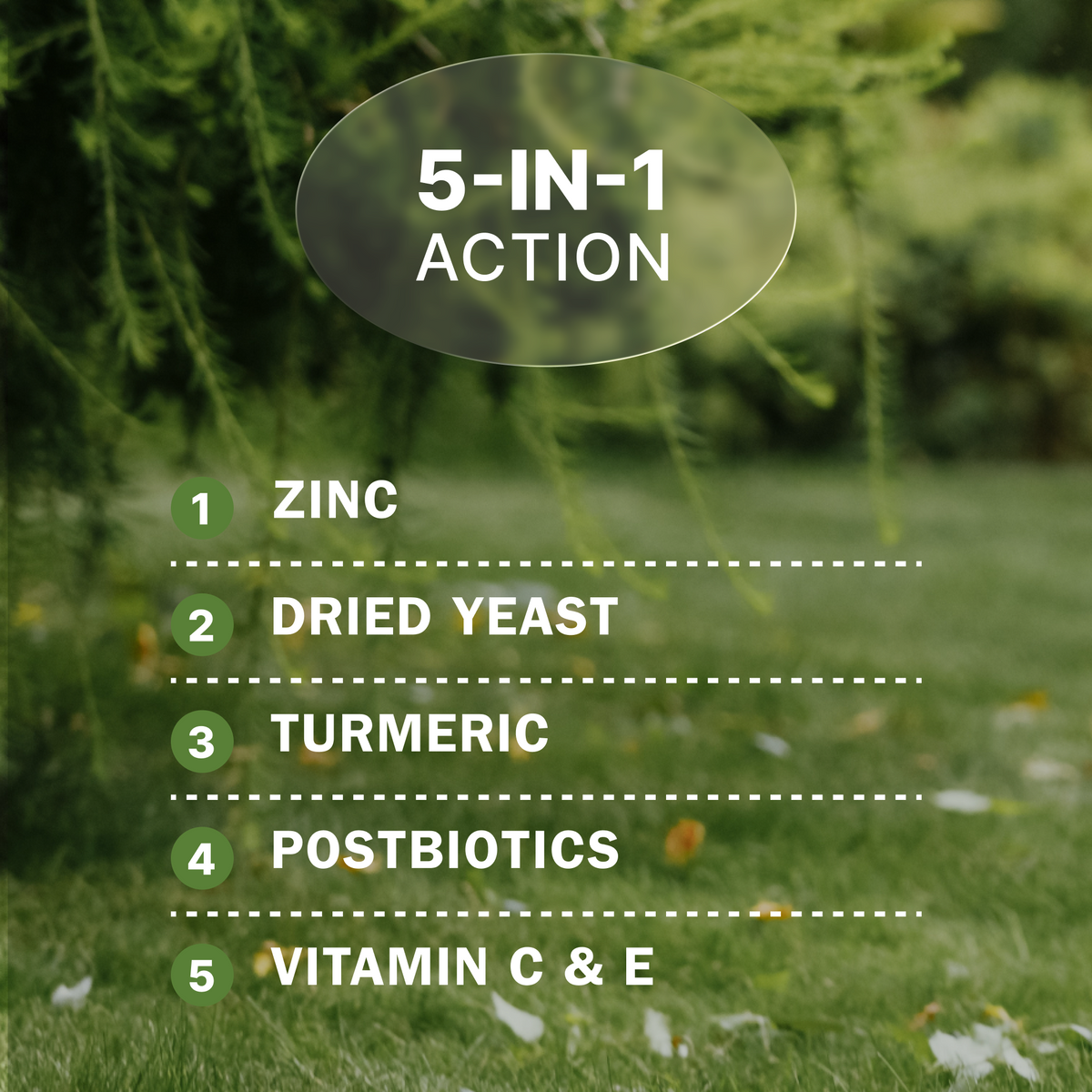 Activeguard® Collagen Slims Immune Support Dog Treats