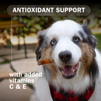Activeguard® Collagen Slims Immune Support Dog Treats